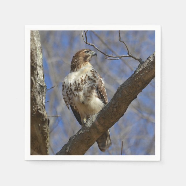 Guardanapo De Papel Majtic Hawk (Frente)