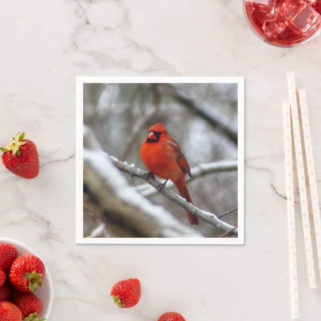 Guardanapo De Papel Male Cardinal (Insitu)