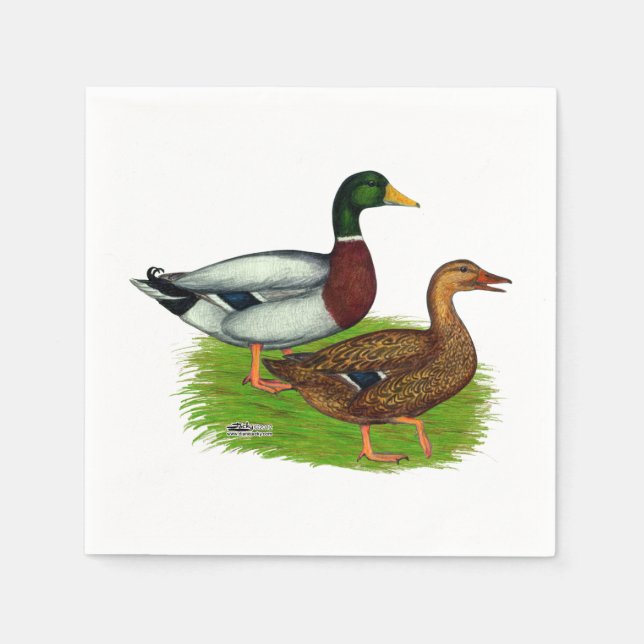 Guardanapo De Papel Mallard Drake e Duck (Frente)