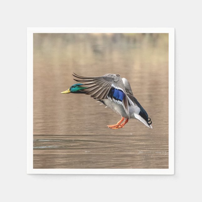 Guardanapo De Papel Mallard Duck em voo (Frente)
