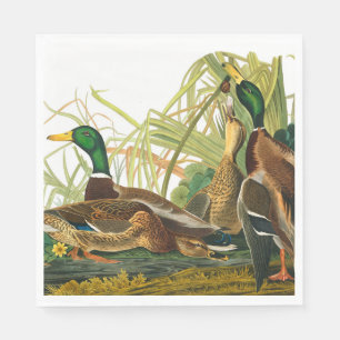 Guardanapo De Papel Mallard Duck por John James Audubon