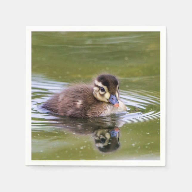 Guardanapo De Papel Mallard Duckling (Frente)
