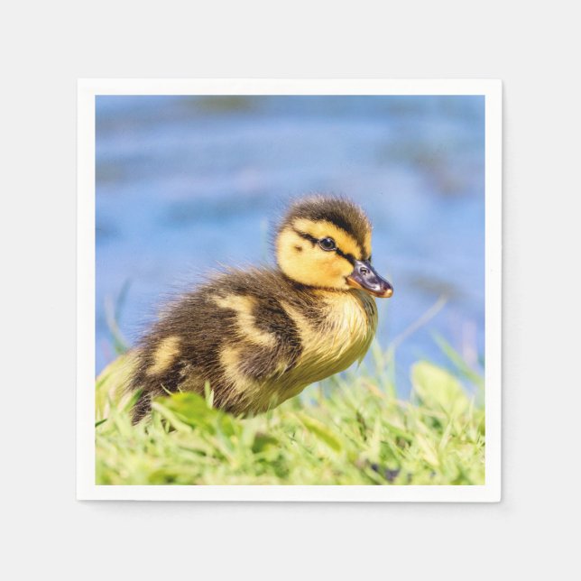 Guardanapo De Papel Mallard Duckling (Frente)