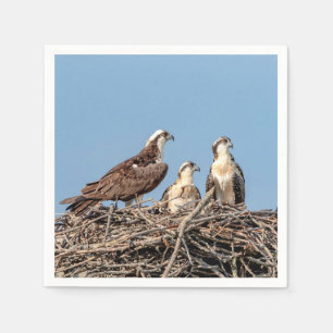 Guardanapo De Papel Mamã do Osprey com seus miúdos