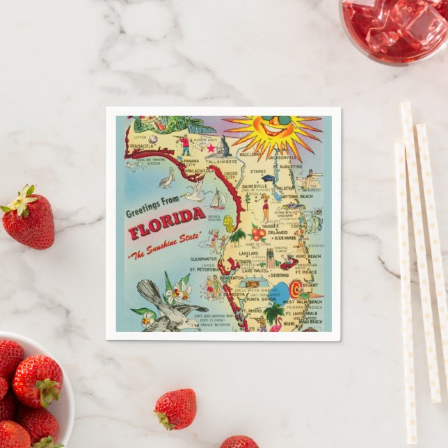 Guardanapo De Papel Mapa Colorido Antigo da Flórida (Insitu)