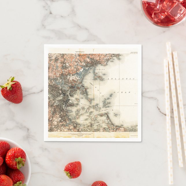 Guardanapo De Papel Mapa Vintage de Boston (Insitu)