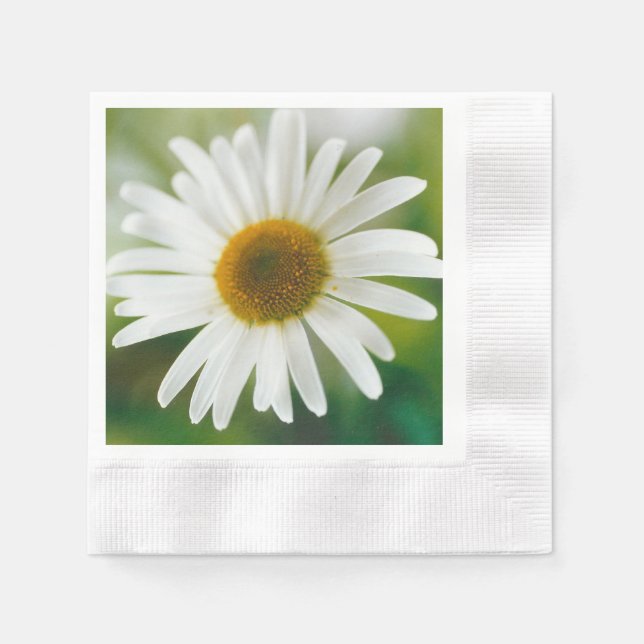 Guardanapo De Papel Margarida Branca de Oxeye - Leucanthemum vulgare (Frente)