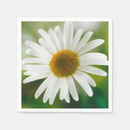 Guardanapo De Papel Margarida Branca de Oxeye - Leucanthemum vulgare