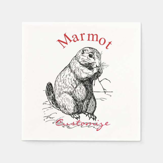 Guardanapo De Papel Marmot Marmot Thunder_Cove (Frente)