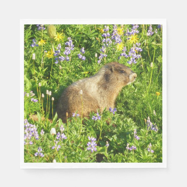 Guardanapo De Papel Marmot no Monte Rainier Wildflower (Frente)