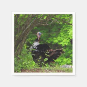 Guardanapo De Papel Mature Male Wild Turkey - Ação de Graças