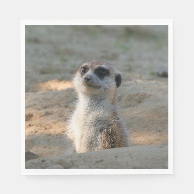 Guardanapo De Papel Meerkat 004 (Frente)