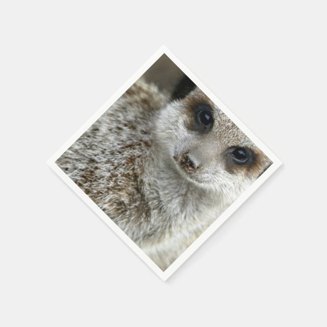Guardanapo De Papel meerkat-16.jpg (Canto)