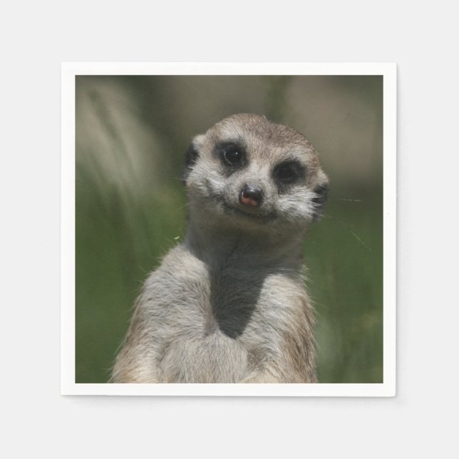 Guardanapo De Papel Meerkat-Retrato 004 (Frente)