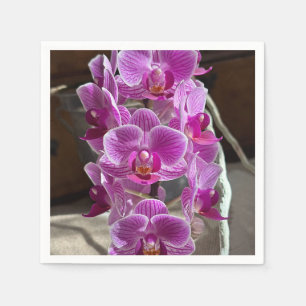 Guardanapo De Papel Mini Phalaenopsis Sogo Vivien Purple Orchid Flower