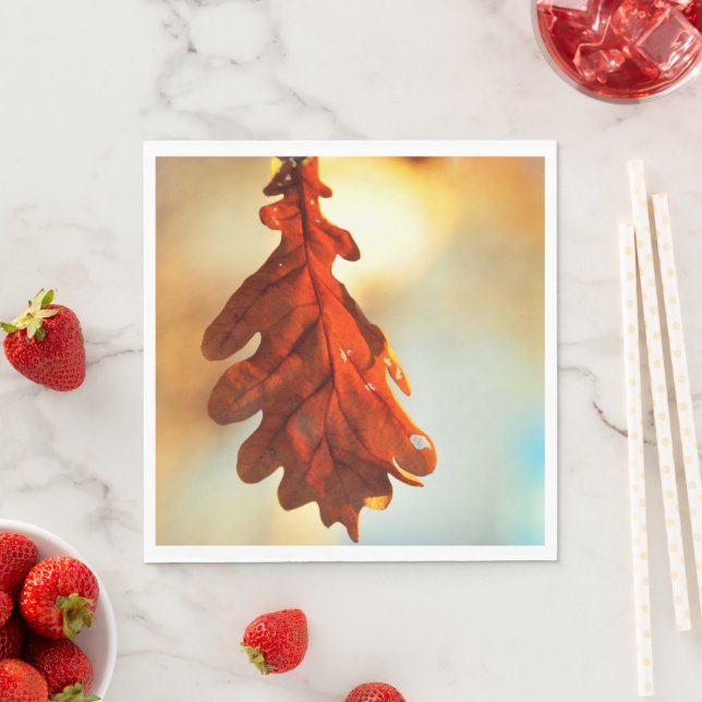 Guardanapo De Papel Modelo de retrato de Napkin (Insitu)