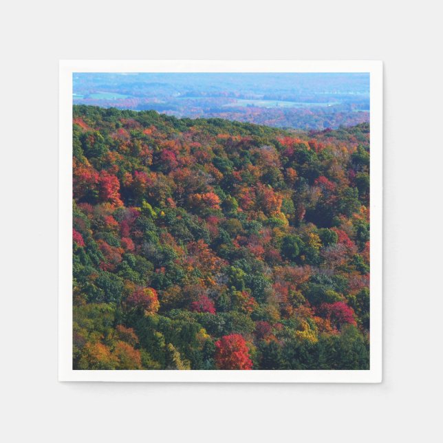 Guardanapo De Papel Montanhas Appalachian em queda (Frente)