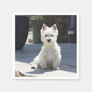 Guardanapo De Papel Montanhas ocidentais brancas Terrier que senta-se
