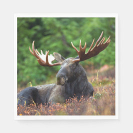 Guardanapo De Papel Moose