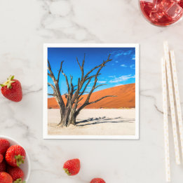 Guardanapo De Papel Morto em Deadvlei, Namíbia