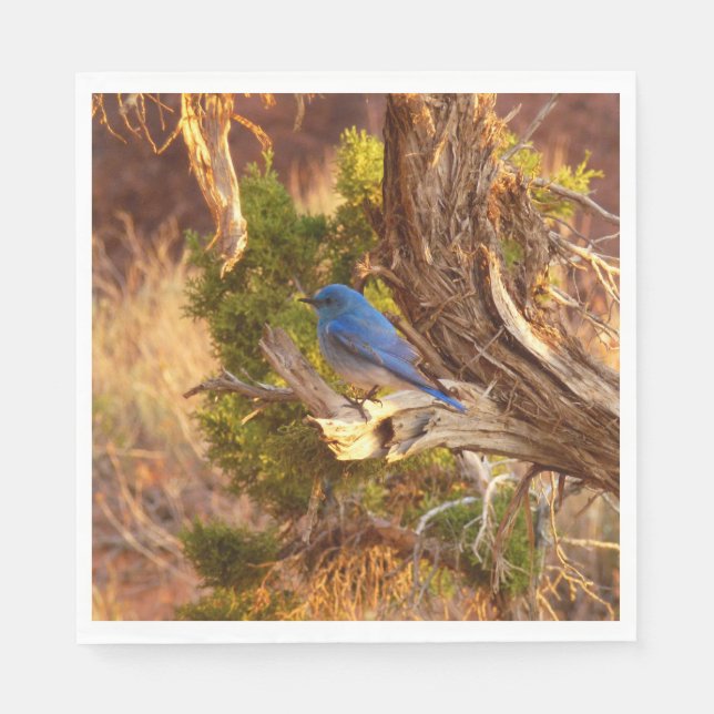 Guardanapo De Papel Mountain Bluebird no Parque Nacional de Arches (Frente)