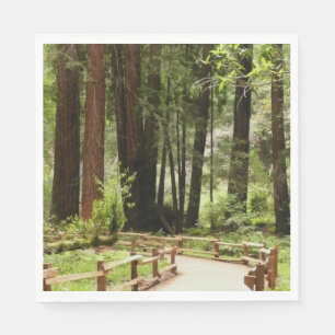 Guardanapo De Papel Muir Woods Path I Nature Photography