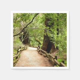 Guardanapo De Papel Muir Woods Path II - Fotografia natural