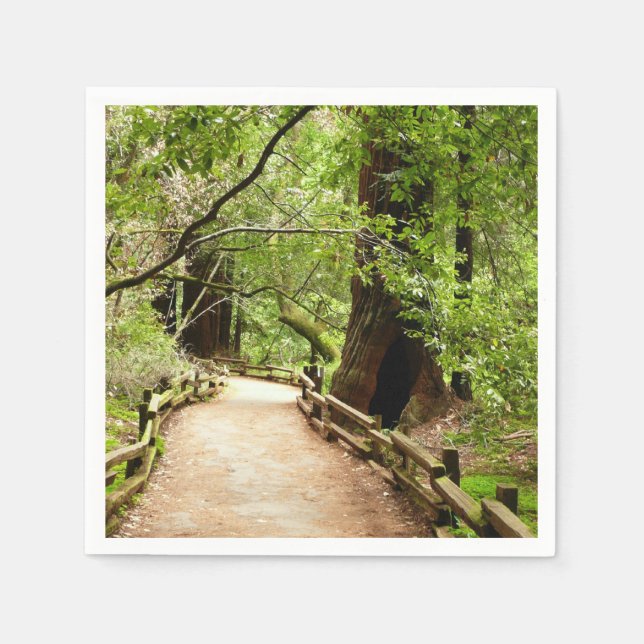 Guardanapo De Papel Muir Woods Path II - Fotografia natural (Frente)