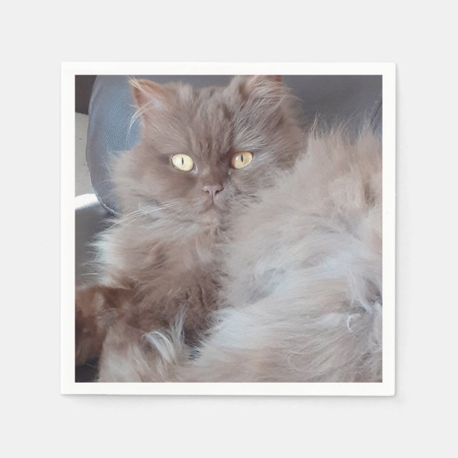 Guardanapo De Papel Napkin de Papel de Gato de fofinho (Frente)