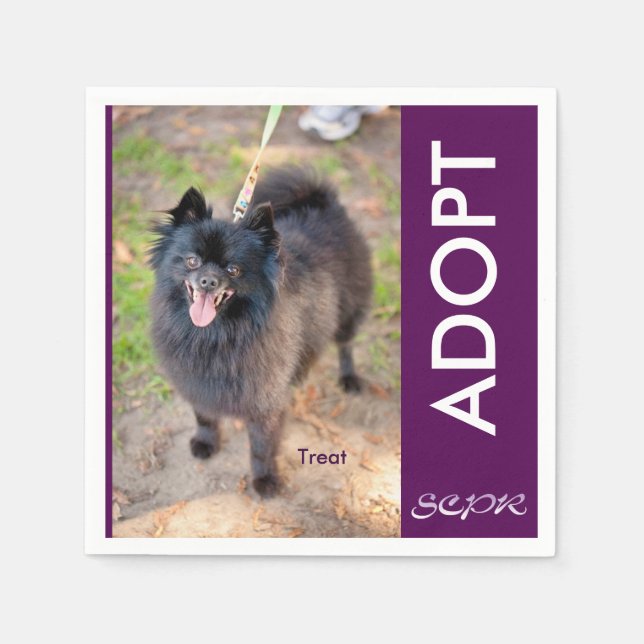 Guardanapo De Papel Napkin - Tratar (Frente)