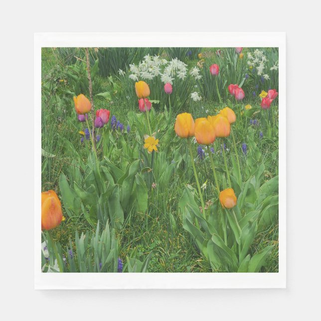 Guardanapo De Papel Napkins (Frente)