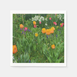 Guardanapo De Papel Napkins