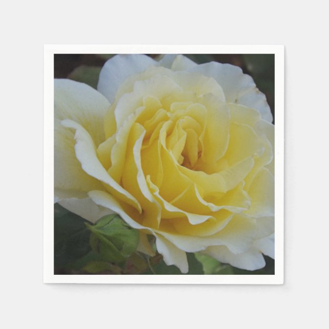 Guardanapo De Papel Napkins rosa branco e amarelo (Frente)