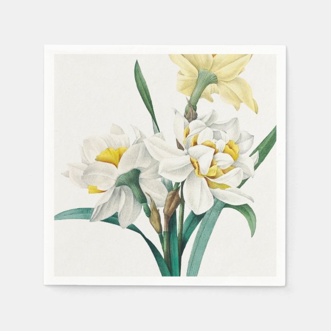 Guardanapo De Papel Narciso Duplo, Pierre-Joseph Redouté, 1827 (Frente)