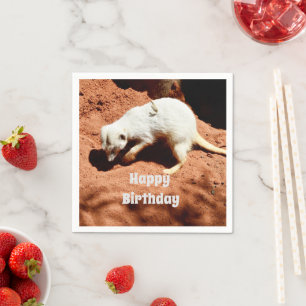 Guardanapo De Papel Nature's Forager: White Meerkat Digging for Inseto