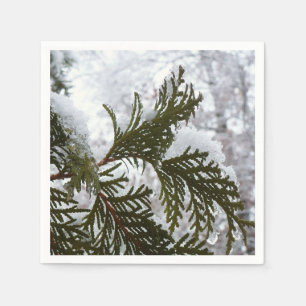 Guardanapo De Papel Neve em Evergreen Branches Winter Nature Foto