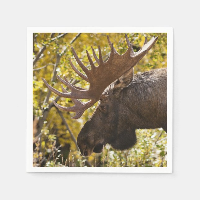 Guardanapo De Papel Noble Bull Moose (Frente)