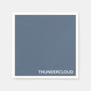 Guardanapo De Papel Nome da Cor da cinza Azul da Thundercloud