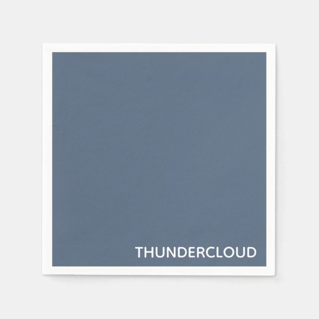 Guardanapo De Papel Nome da Cor da cinza Azul da Thundercloud (Frente)