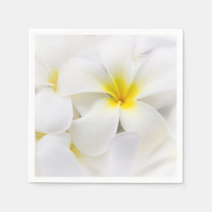 Guardanapo De Papel O Plumeria floresce a flor floral do Frangipani