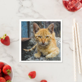 Guardanapo De Papel Olhos de ouro