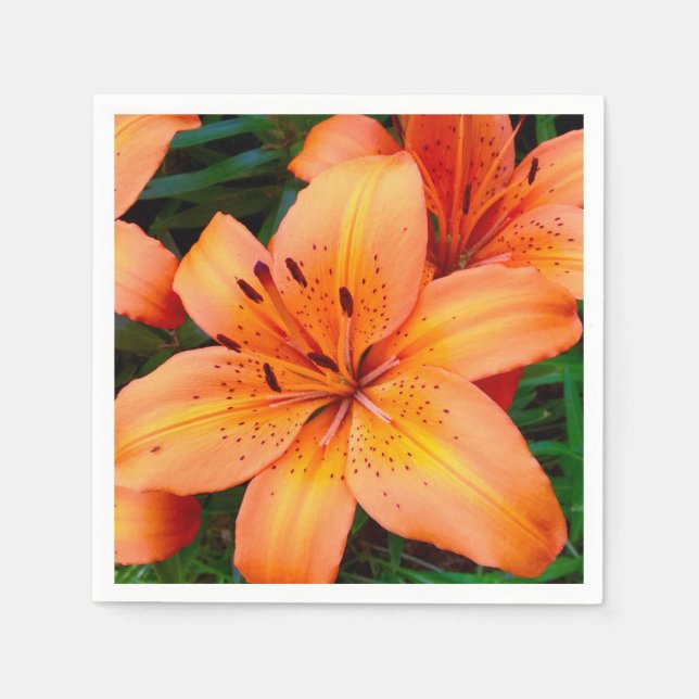 Guardanapo De Papel Orange Tiger Lily Floral Napkin (Frente)