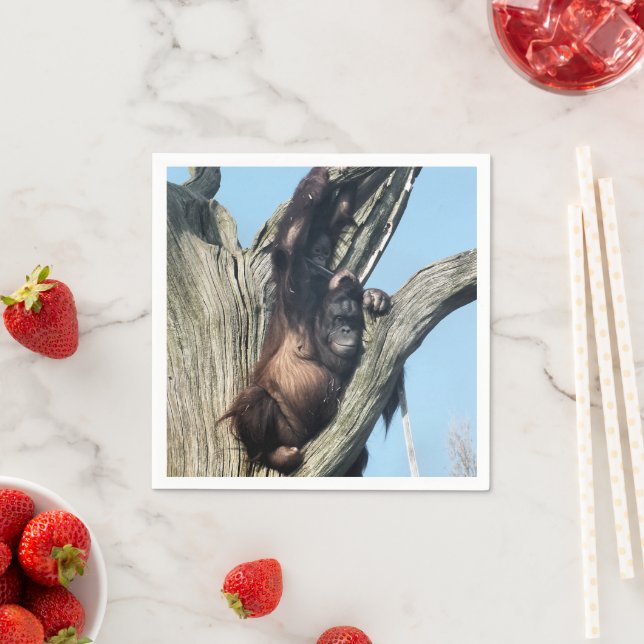 GUARDANAPO DE PAPEL ORANGUTANOS (Insitu)