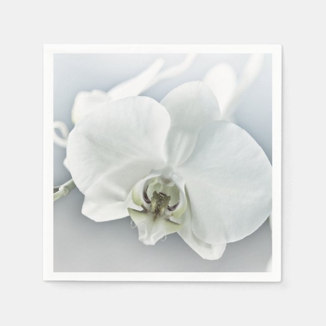 Guardanapo De Papel Orquídea Phalaenopsis Branca (Frente)