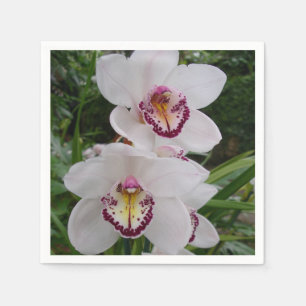 Guardanapo De Papel Orquídeas Brancas Lindas Flores Tropicais