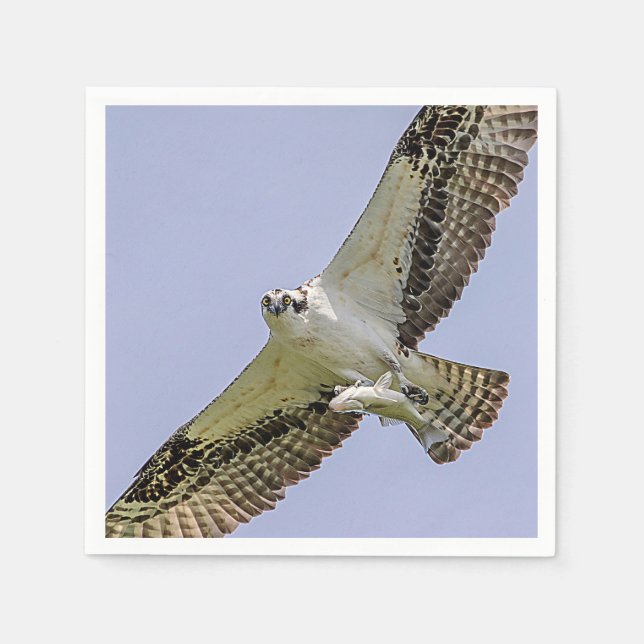 Guardanapo De Papel Osprey com peixe (Frente)
