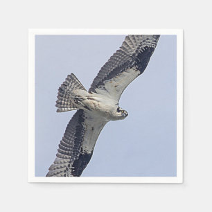 Guardanapo De Papel Osprey em vôo