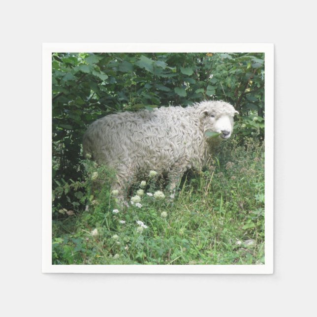 Guardanapo De Papel Ovelhas Bonitas E Flores Comendo Nápoles (Frente)