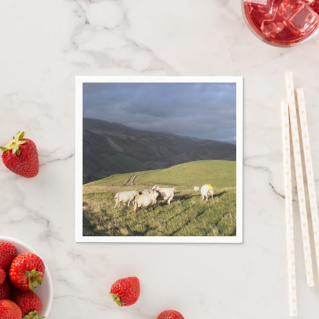 GUARDANAPO DE PAPEL OVINO (Insitu)