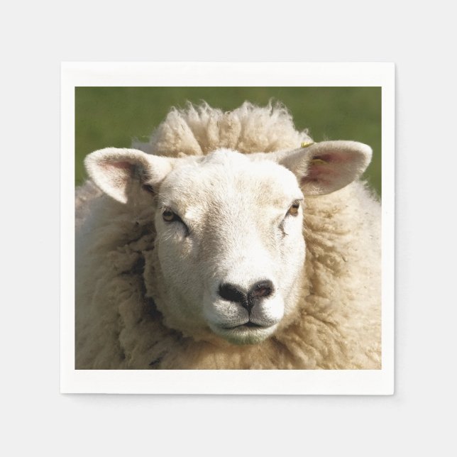 GUARDANAPO DE PAPEL OVINO (Frente)